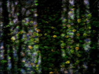 CCAD69EF-D596-46E4-B9BC-86179E7D2C00/L0/001
