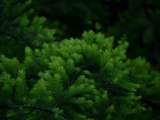 8BCEA7BF-1DB3-46B5-8E15-40D5837F4B0D/L0/001