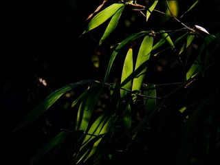 BD37D412-BEF4-48DD-9C58-29511D93AFBC/L0/001