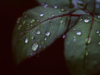 3C00E7F7-16D3-4553-98F6-90A963ABFFCB/L0/001