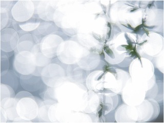E8148D62-8721-4010-9277-D771D9A2C80C/L0/001