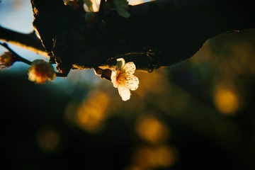 87AE9A49-38FC-4B8F-B634-BBAD522EBB9F/L0/001