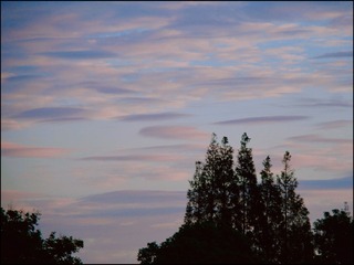 5DF6719F-E31C-4134-B934-D6F4BD78633D/L0/001