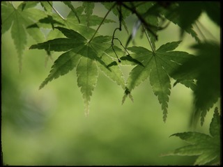 7C51E4A2-91B6-41DF-ADF4-803763674953/L0/001