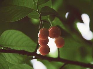 1F40F334-CEF1-48BA-AC63-53BBABF1C85C/L0/001