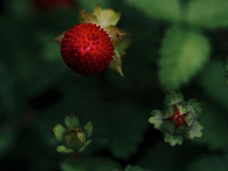E4DDB813-F43B-4DC4-BBD8-8746E54AF6BB/L0/001