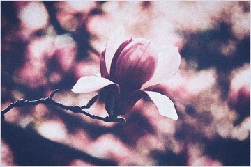 E6E675EF-265A-4057-ABBE-2A2C3C0B2DC3/L0/001
