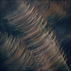 DCAFC92E-1459-45E4-8695-61ED663928DF/L0/001