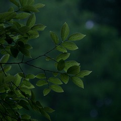 DD824A19-EB18-4476-BA9C-4350B78D8177/L0/001