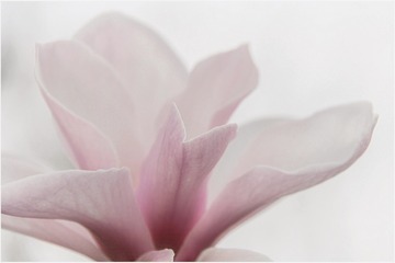 3385F1FD-E6C4-4ADF-8513-774C8D5EF811/L0/001