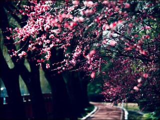 2C12BB8A-B17D-45D0-8A8E-4E39CB9B03C8/L0/001