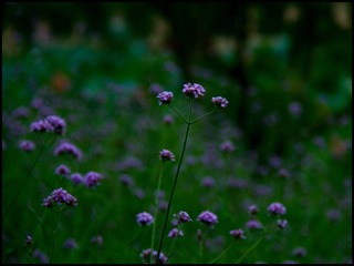 16DB2EDD-70FD-4392-949F-E0CFC8025BCF/L0/001