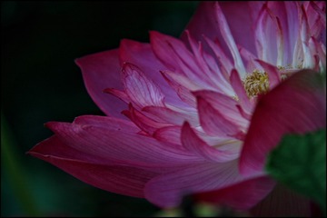 85525B3D-5F19-4011-B276-6109CA4EF281/L0/001