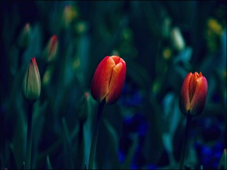 F5092C57-7FD3-4049-8D11-981F928EE57A/L0/001
