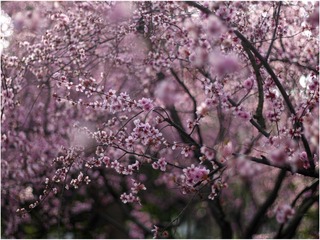 D2790E7D-4D51-4FA6-8CFE-2CDF6D7CE4B7/L0/001