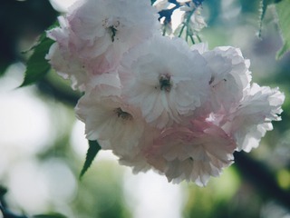 D80D5A8B-1729-40EA-91D5-348A4FAB5F95/L0/001