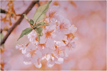 A7C16704-FEF5-4FAE-A9B2-3F04EAFFFBF6/L0/001