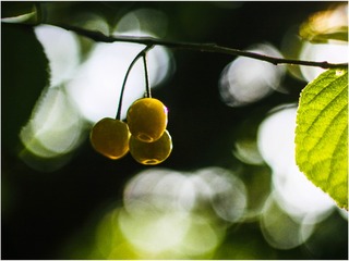 D683980A-55E0-44A7-B228-F95B018FE436/L0/001