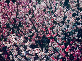CA4B086A-8F28-4B29-B161-48CCCA005DB3/L0/001