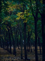 D6842A1B-BC1A-4D9D-9449-E3D7FB66514B/L0/001