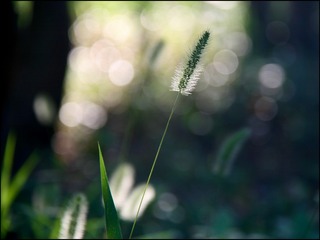 9D41389C-DB0C-4D0C-A6CE-5CC19DBE9F0A/L0/001