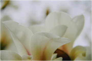 B3C74373-2D34-4130-8525-CA26A4CC1D3D/L0/001