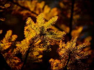 9F121722-6D04-4429-9C0D-A4D2F5106B2D/L0/001