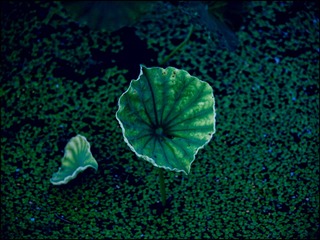B359E456-AE19-4383-8BE1-2C12BF0C43C9/L0/001