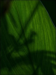 AC584F87-C29D-41C3-BFFE-0C47242BF8B4/L0/001
