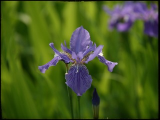 D3F361A9-FF74-4EC5-80DF-3E2BC9522735/L0/001