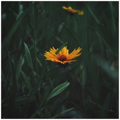 CE0CADDB-9742-4F86-9A42-A73D1E824188/L0/001