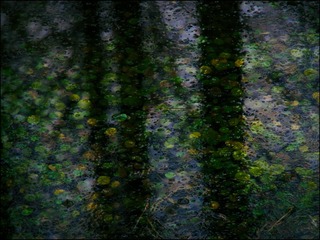E5AD75B8-A7C1-483B-8306-999B84C789AC/L0/001