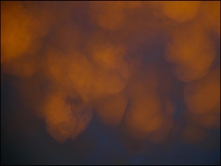 19B3BFBA-10C2-4414-8E91-519A66CBE40C/L0/001