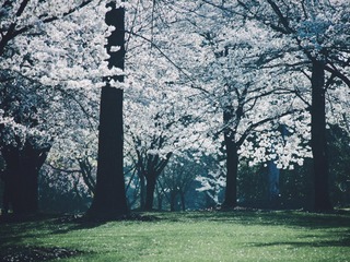 D1A00D6D-E5D9-4EB7-9C08-F1CEB4C042F7/L0/001