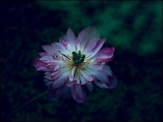 EBDD9B1C-10D6-4C35-BE6D-D9D801A3AE7A/L0/001