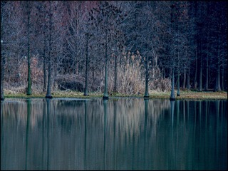 76C0FE7A-2613-42A8-AC28-368D70A80AA3/L0/001
