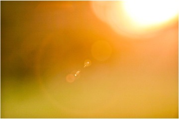 BCD08378-D1FB-4B4D-B6F3-82A77BC37BE7/L0/001