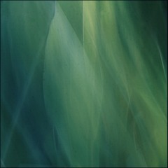 E0F99BA6-F70A-48F0-9710-DF718BDB5340/L0/001