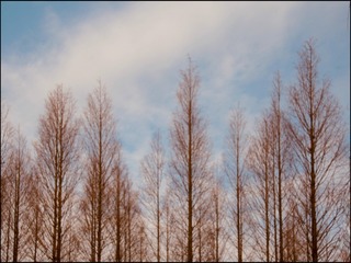 32505CD4-89EB-454E-AB47-756C54C23A23/L0/001