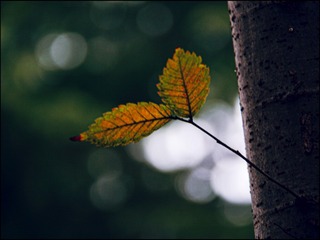 3B0048E6-F108-49B4-A741-6DC93F03C44D/L0/001