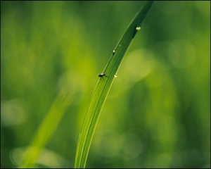A472D00B-DDD0-4677-9FA8-E372D2B3D2B5/L0/001