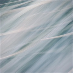 3A5302E4-507D-4BB1-816B-9DC03B35DC16/L0/001