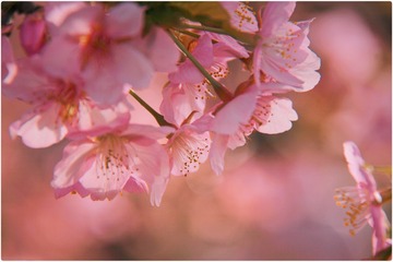 80F87D40-9367-4C43-8A41-4080EF78550B/L0/001