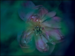 8C6CD45C-BB01-4A57-9570-CA6A7F9789A8/L0/001