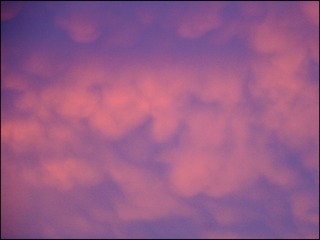 58EE71D9-750F-49F9-9B3E-FF68F753358A/L0/001