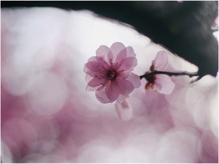 A5CBEBE4-64E2-4F1C-BA71-34261A7CF0B0/L0/001