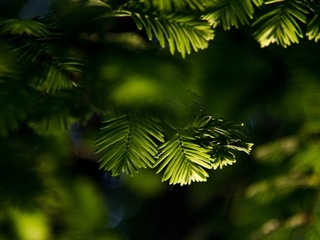 7BB74A21-412D-4AAB-8476-7FE535327A8D/L0/001