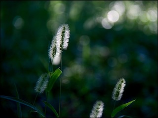 F9C88BAB-7E7F-42F0-B8F8-6539B668E5AC/L0/001