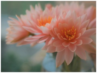 C9438EA2-7C01-404A-8345-45BF5989B699/L0/001