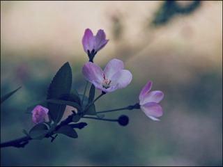 7A8F7E3C-6F39-40C6-B2D5-6651BBFEB9F3/L0/001